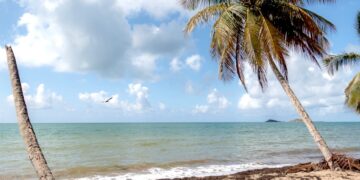Tropical Beach en Naguabo. (Foto: Discover Puerto Rico)
