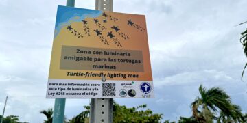 Cartel que informa sobre presencia de tortugas marinas en la entrada de la playa de La Guancha. (Foto: Michelle Estrada Torres)